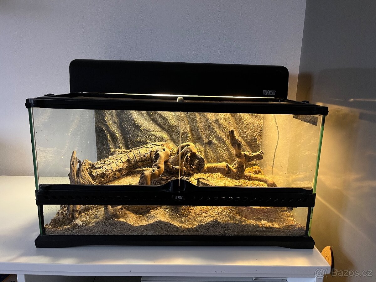 Terarium, terarko vcetne oscetleni - 3
