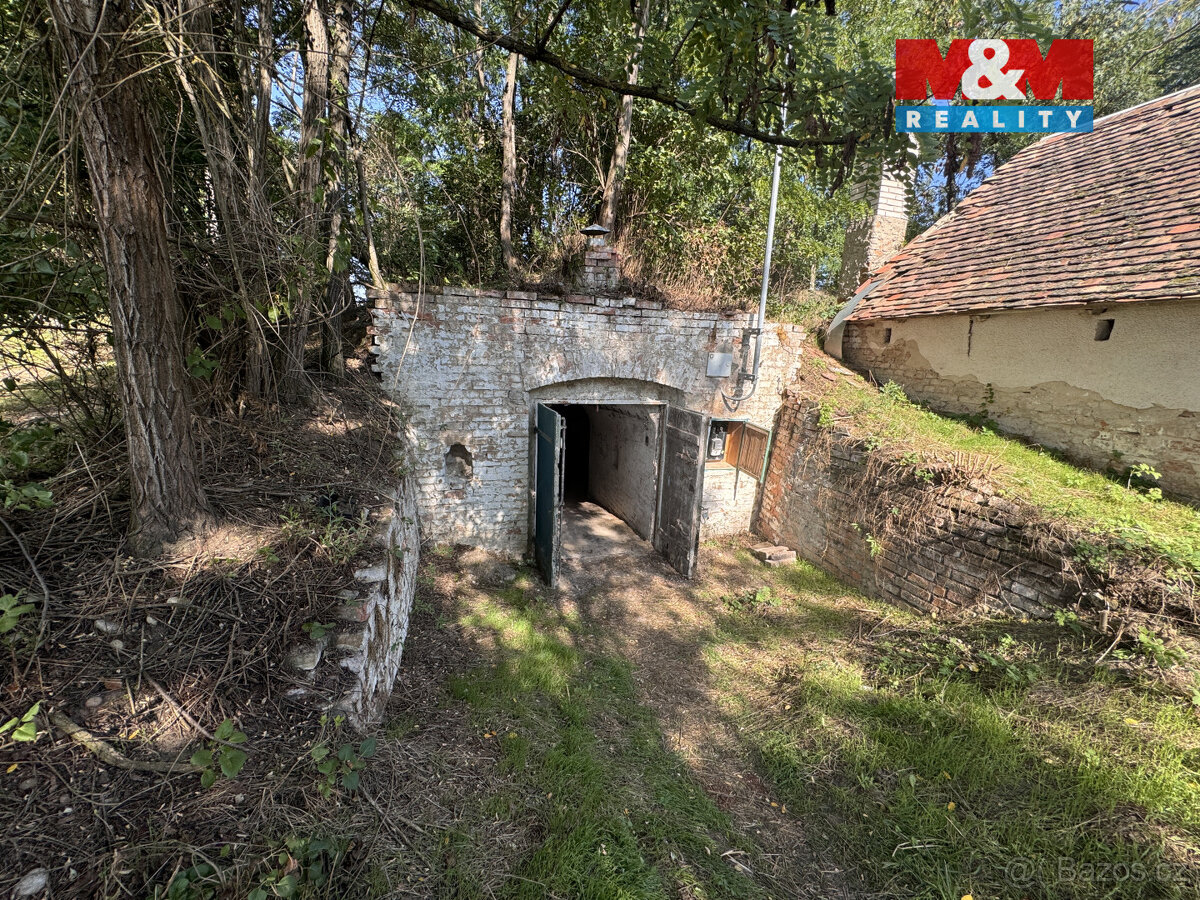 Prodej vinného sklepu, 150 m², Novosedly - 3