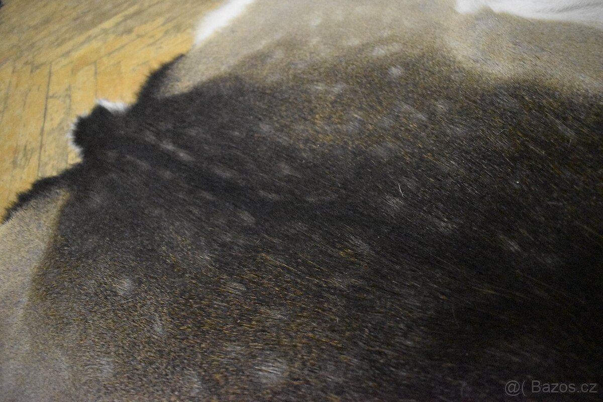 Kožešina daněk 2 - 3