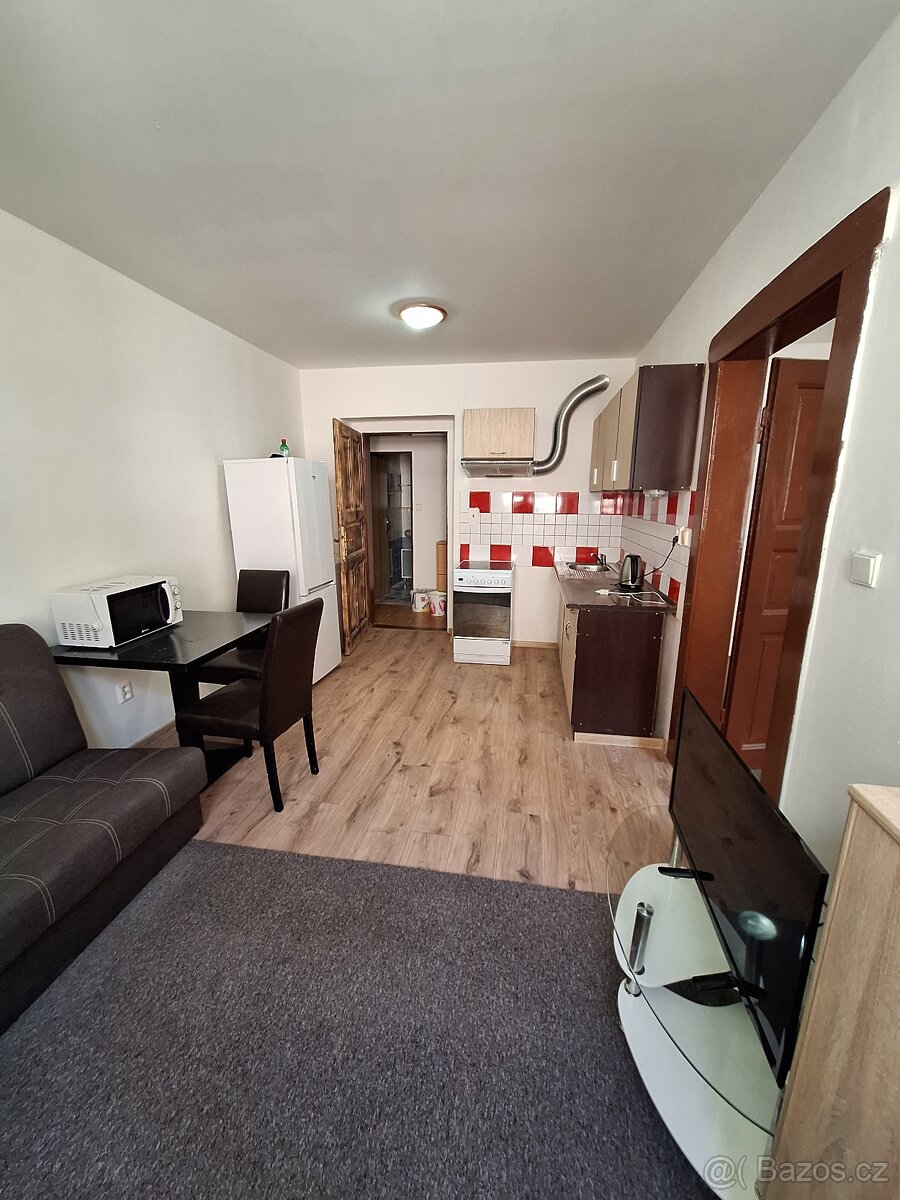 Pronajem bytu Stribro - 3