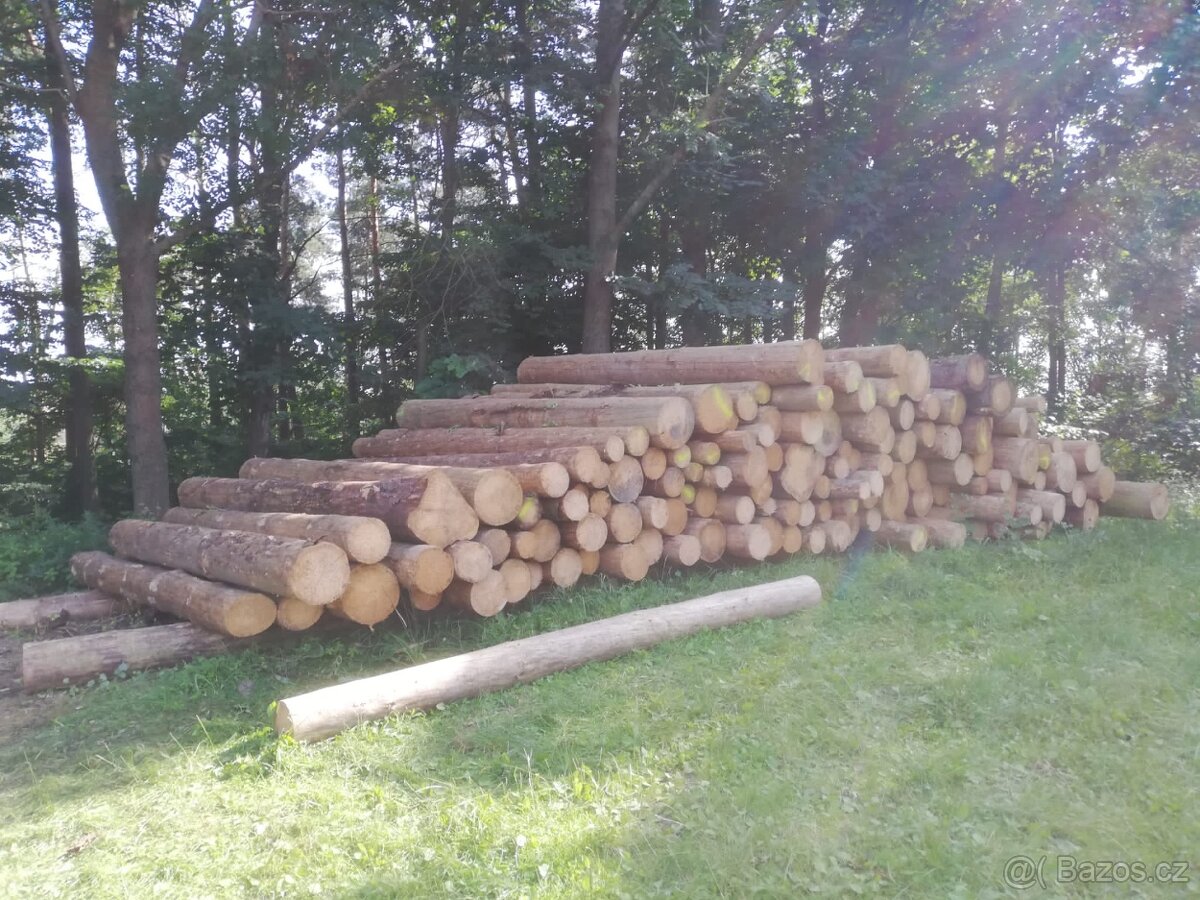 Mobilni katr pojizdna pila pořez dreva pořez kulatiny - 3