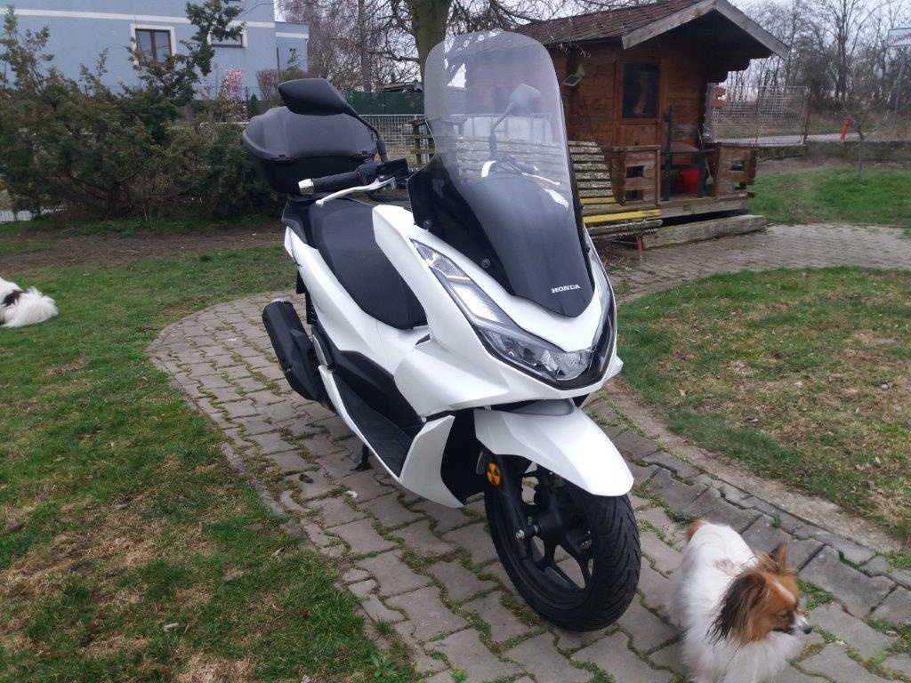 Honda PCX 125 super stav - 3