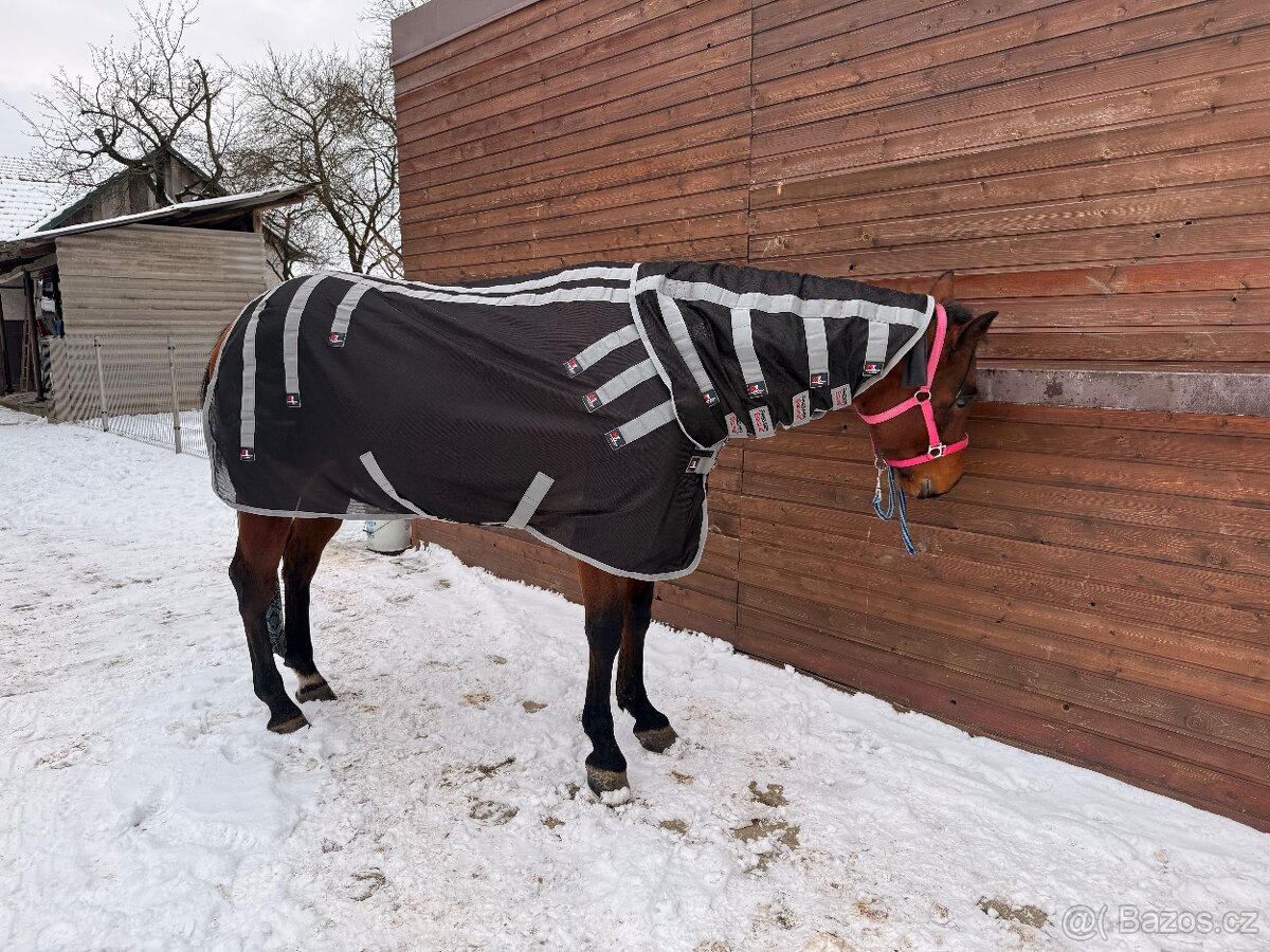 Deka Premier Magnetic Therapy, černá, vel. 130/175 cm - 3