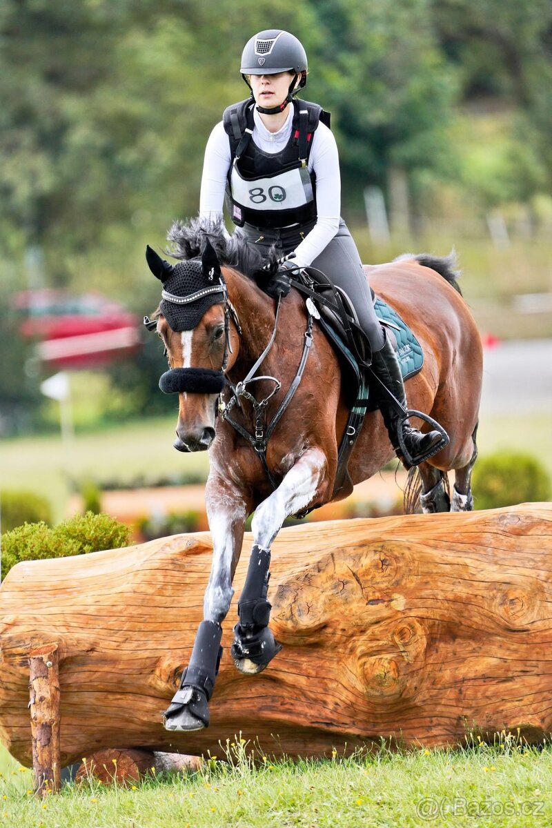 Klisna A1/1 vhodná do všestrannosti - 3