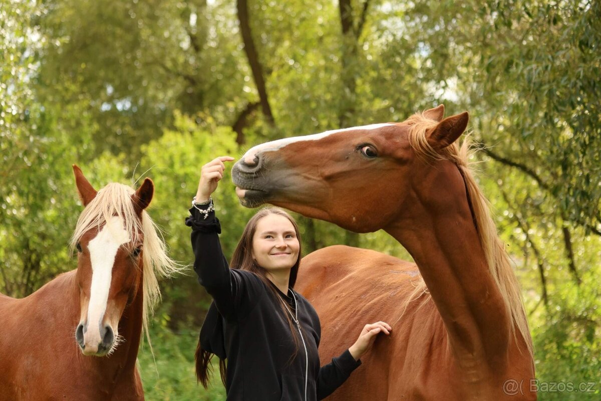 2,5 letí atraktivní a hodní valáškové - 3