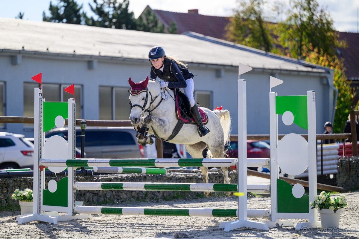 Sportovní pony - 3