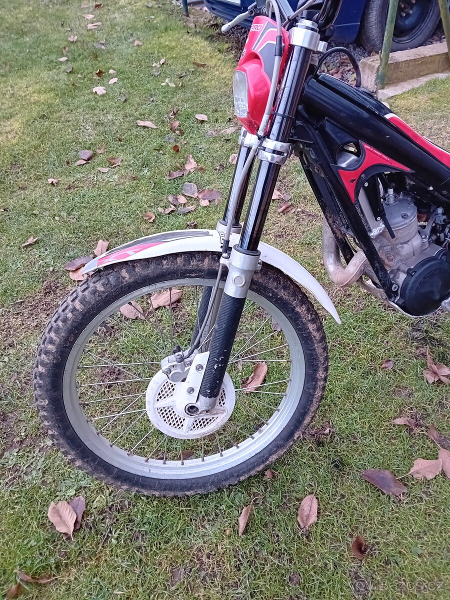 Gas gas 300