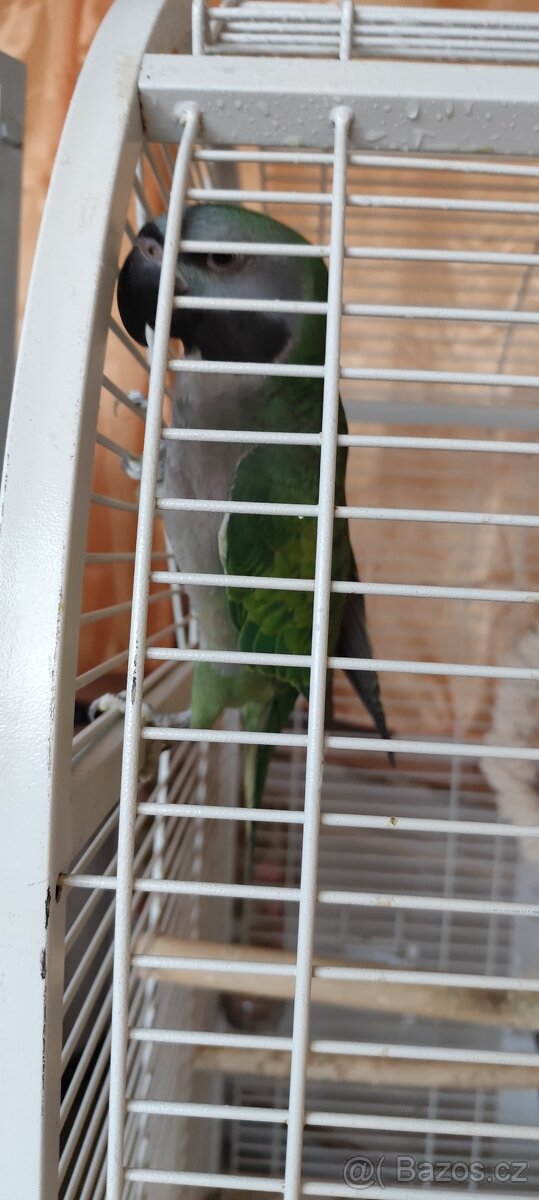 Alexandr čínský - 3