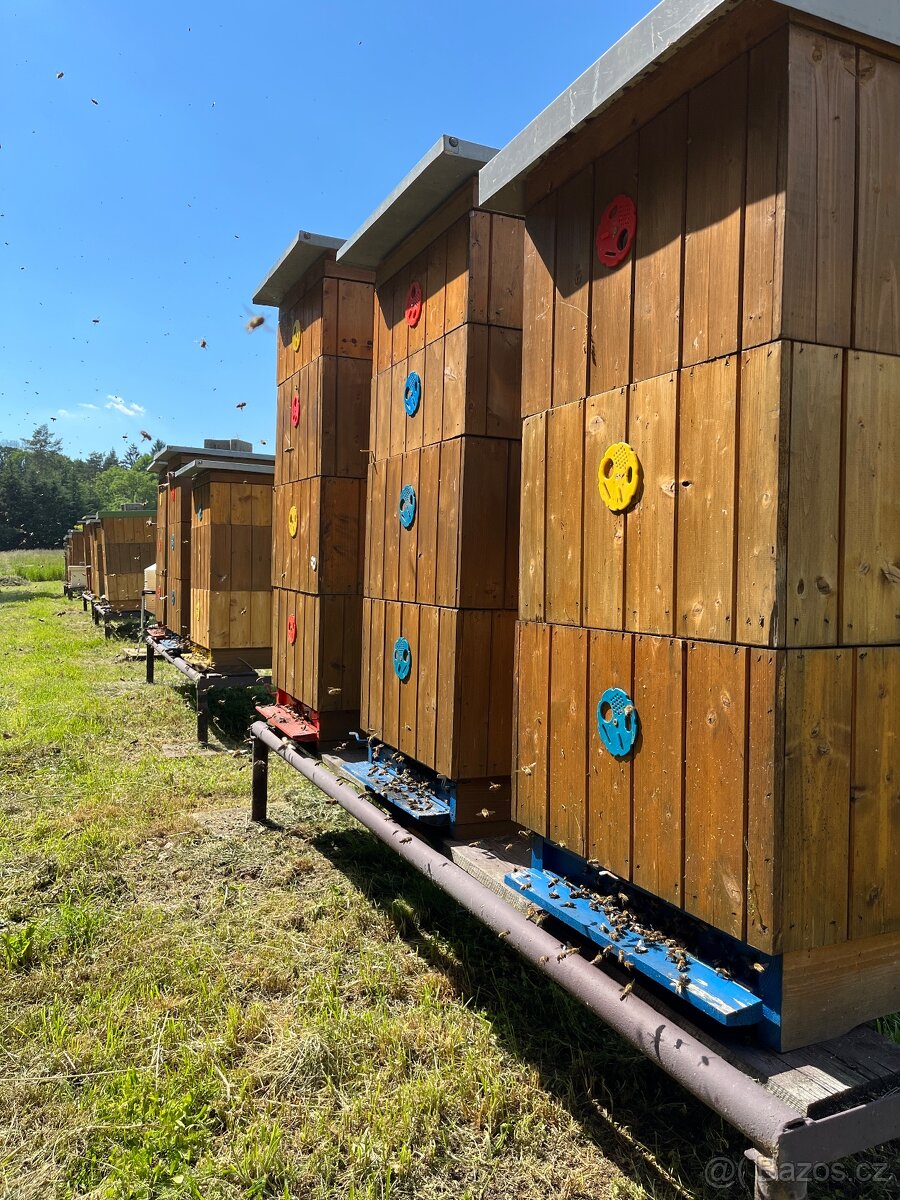 Včelí oddělky 2026 - 3