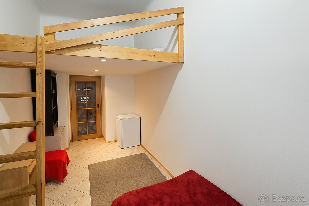 Prodej prostorného bytu 4+1 v centru Prahy - 3