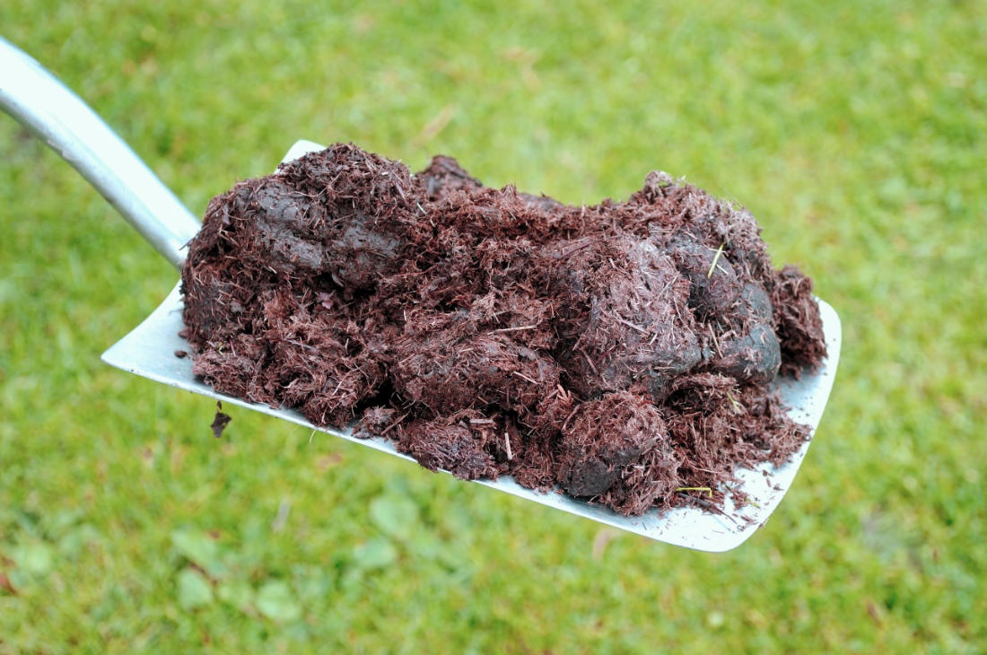 Daruji koňský hnůj - 3