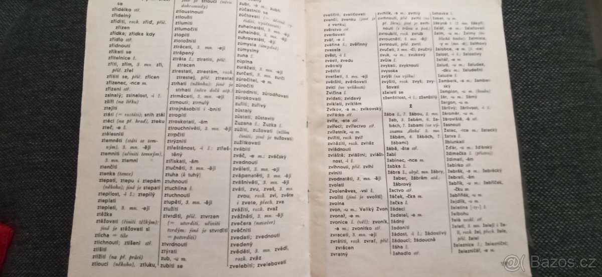 Český pravopis - 3