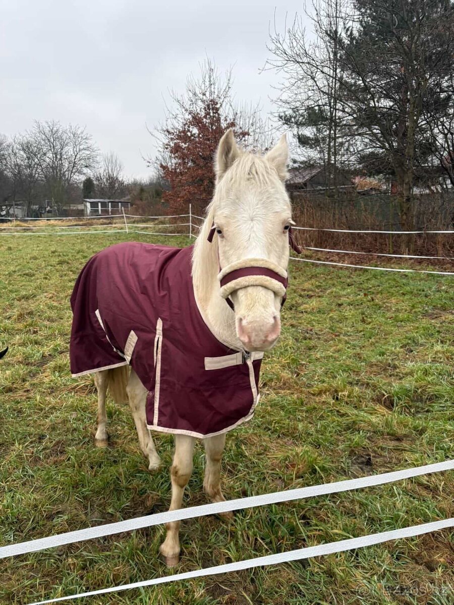 Prodám ponyho - 3
