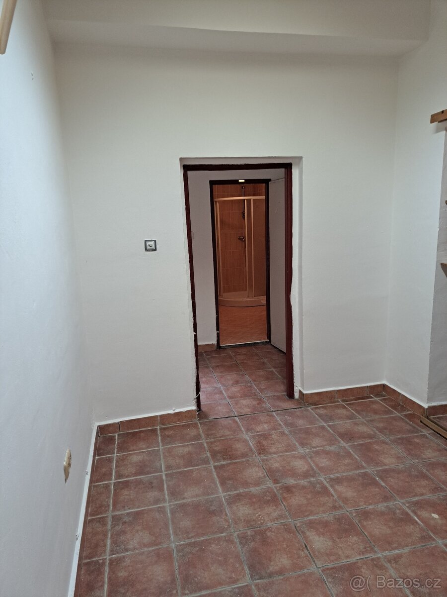 Prodám byt 1+1 v OV, 49m² - 3