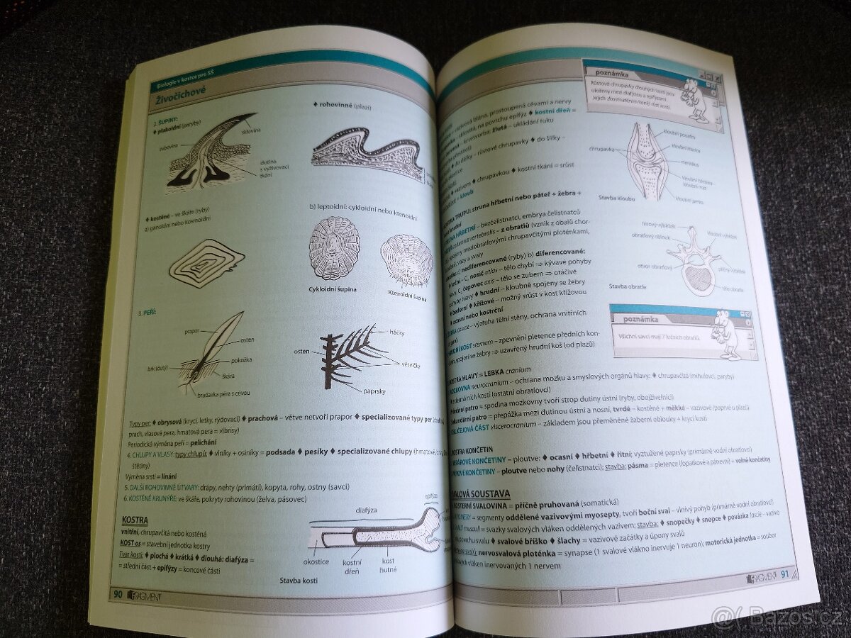 NOVÁ Biologie v kostce - 3