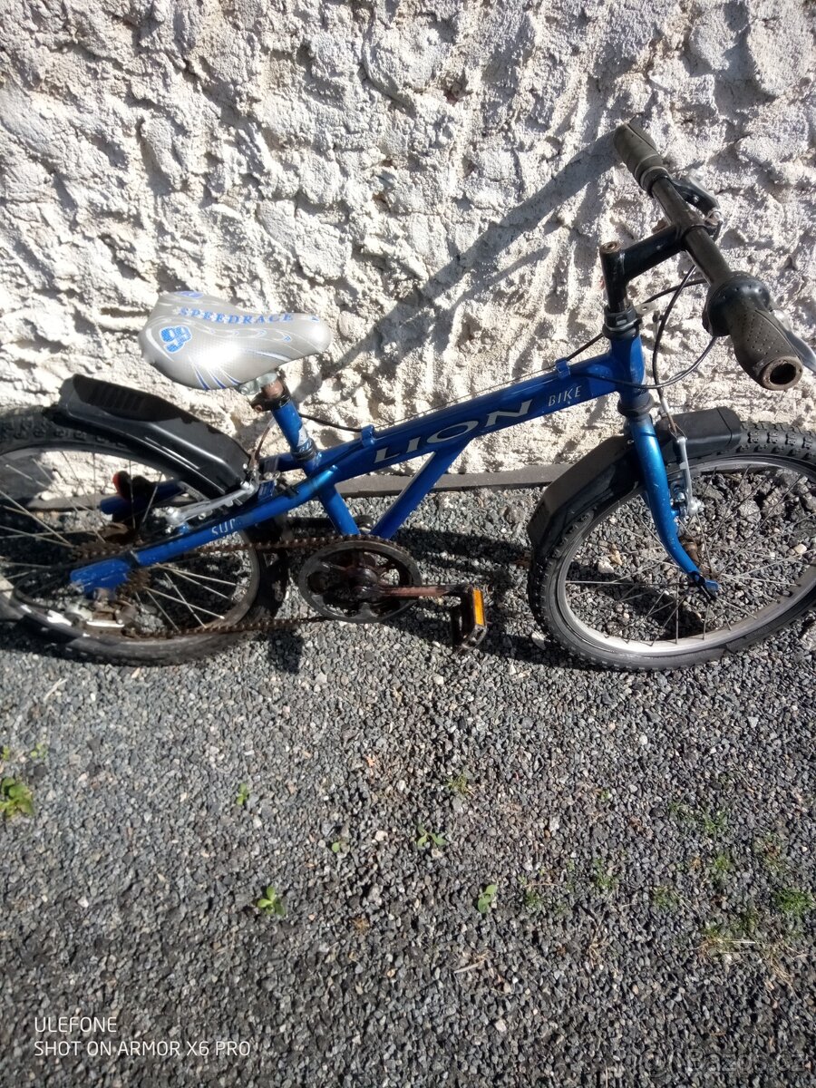 Dětské kolo 20 Lion Super - 3