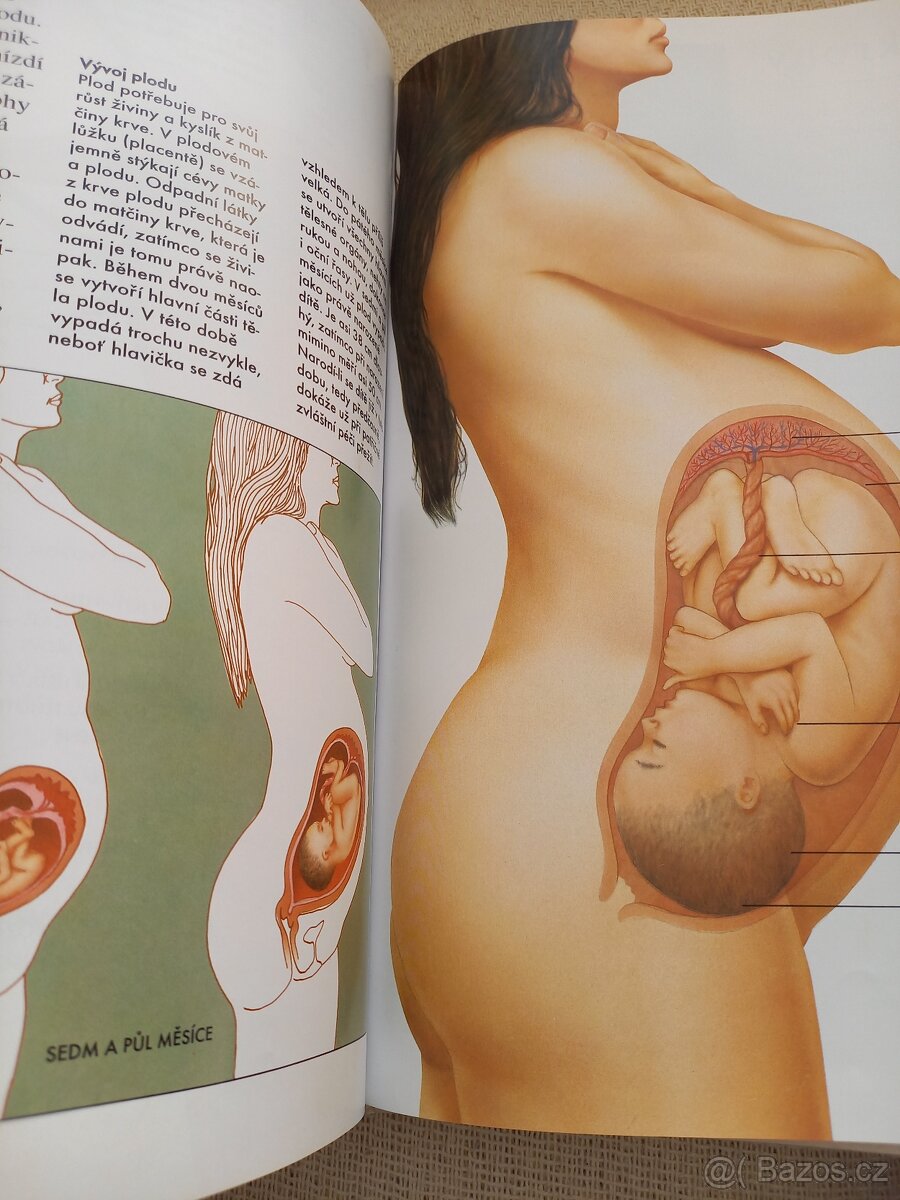 Člověk a jeho tělo - 3