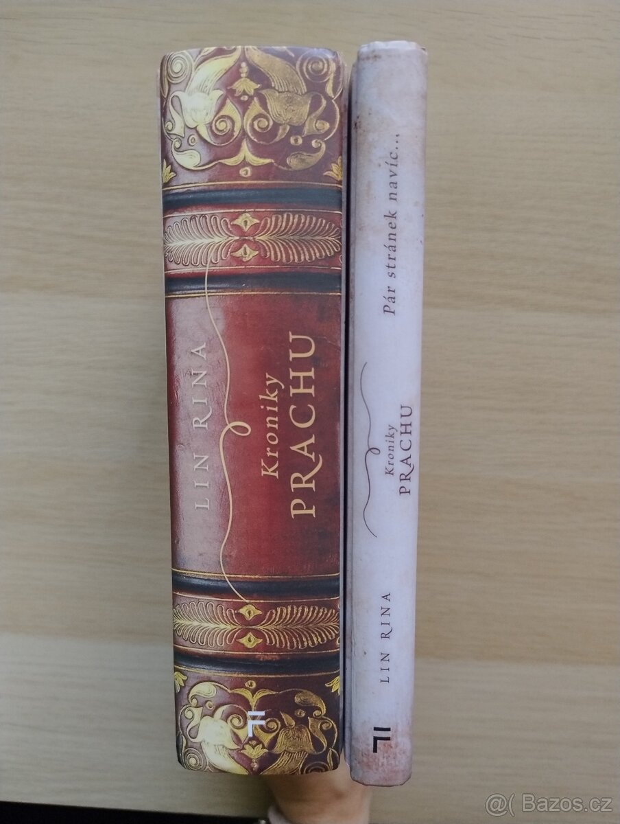 Kroniky prachu + Pár stránek navíc - Lin Rina - 3