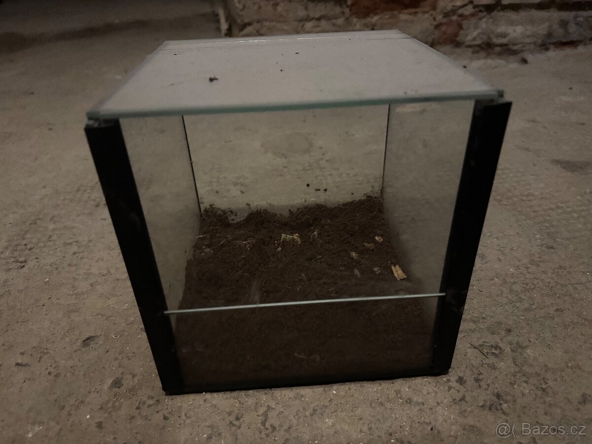 Terarium pro tarantuly - 3