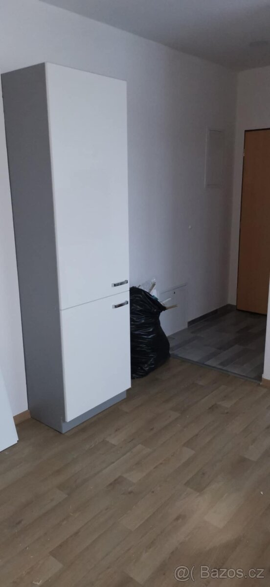 Pronájem bytu Zruč nad Sázavou - 3