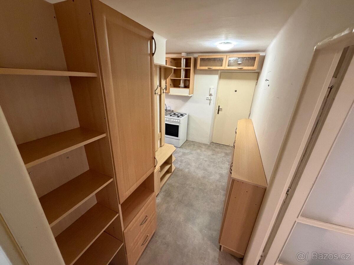 Pronájem bytu 3+kk ul. U Červených domků , Hodonín - 3