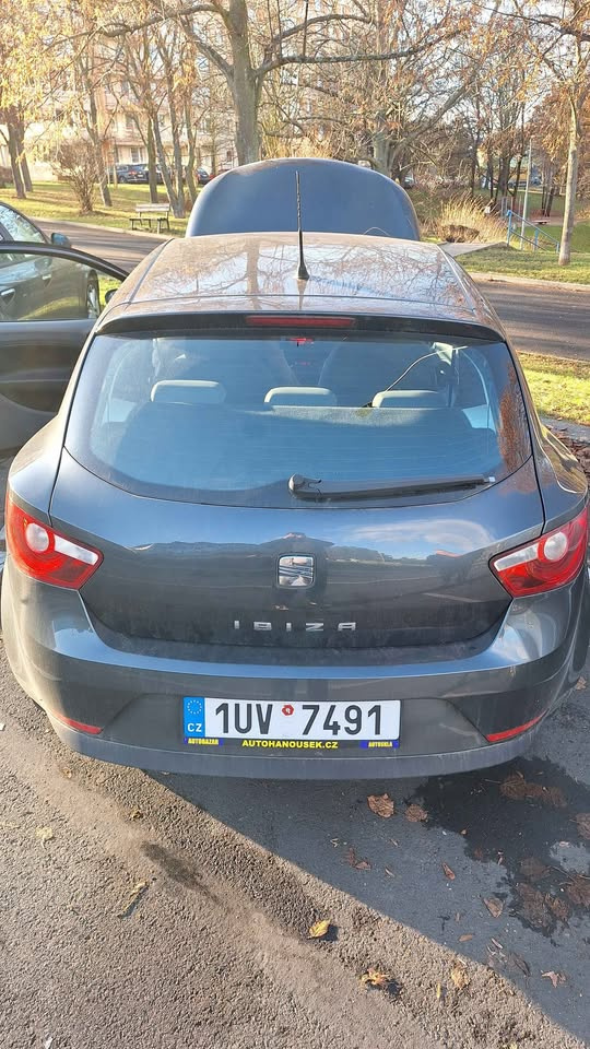 2010 SEAT Ibiza 4 1.6 TDI 66kw - 3