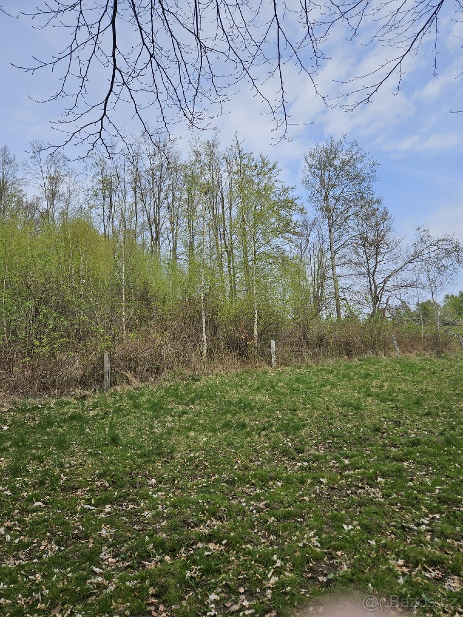 Lesní pozemek - 3