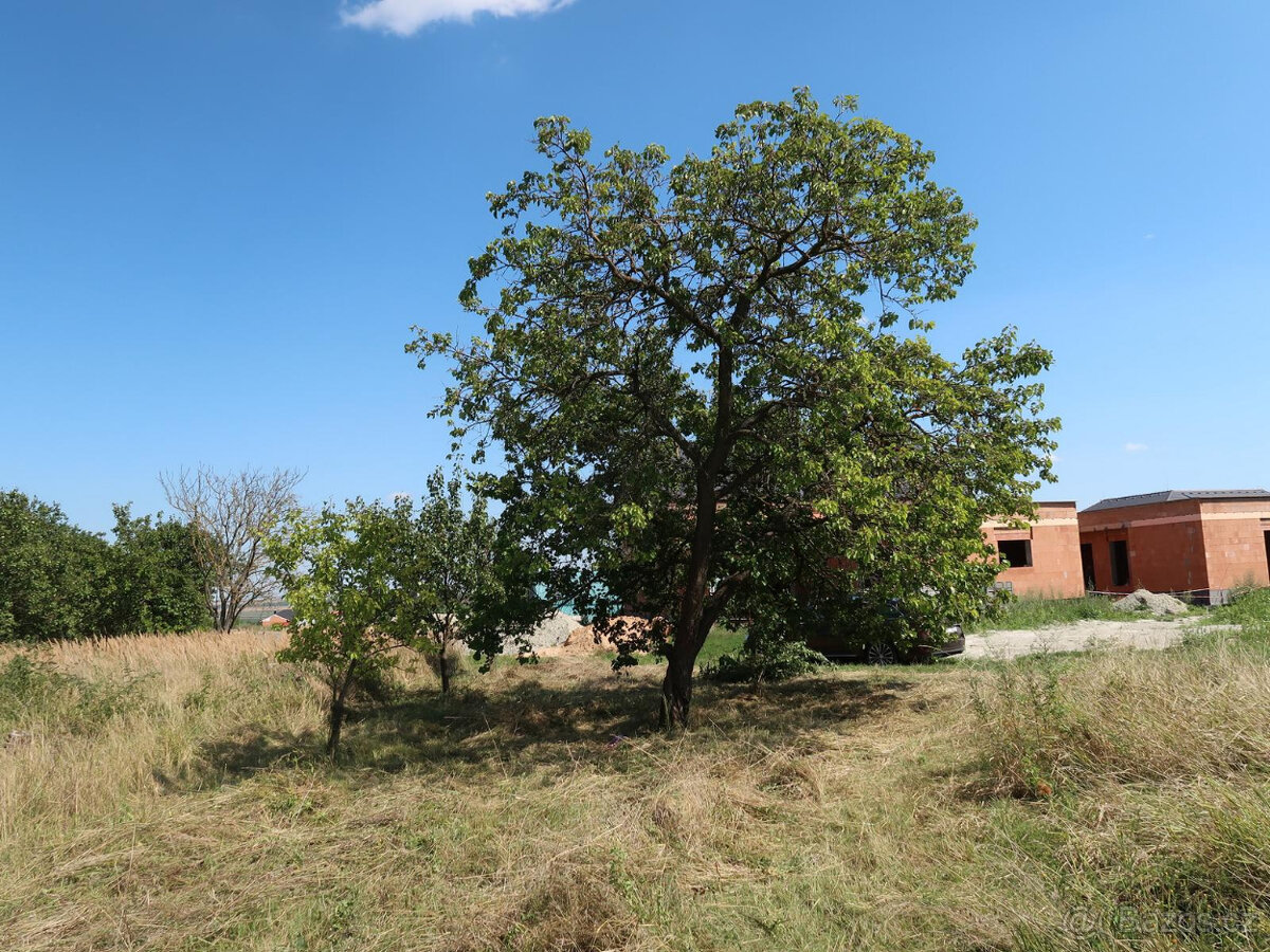 Pozemek Velké Pavlovice - 3