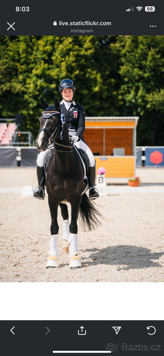 Nabízím Drezurni tréninky - 3