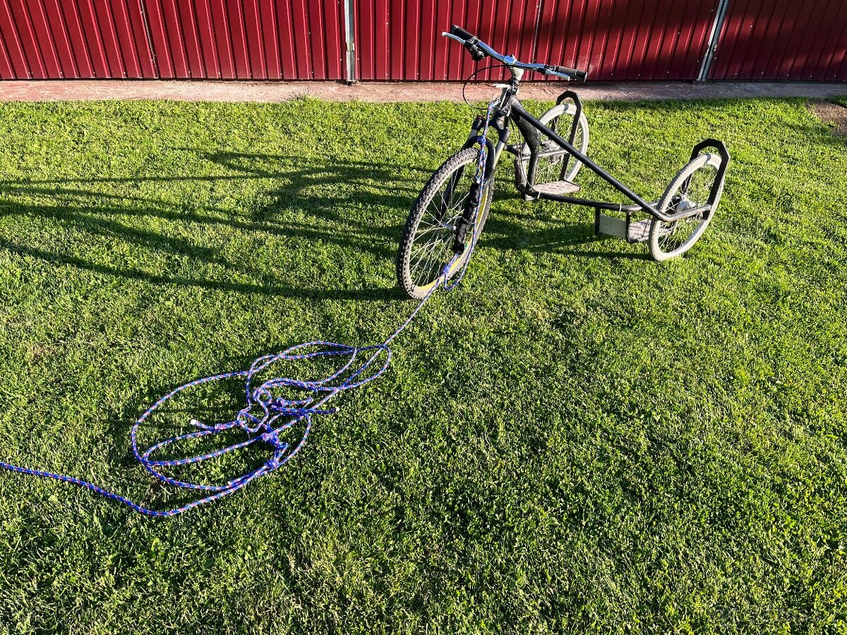 Mushing tříkolka pro spřežení psů (Husky,canicross,sport) - 3