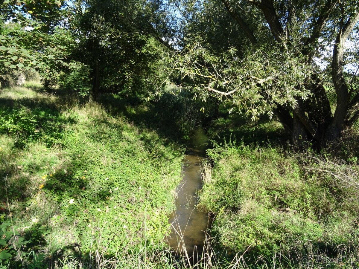 Zahrada - Žatec - 3