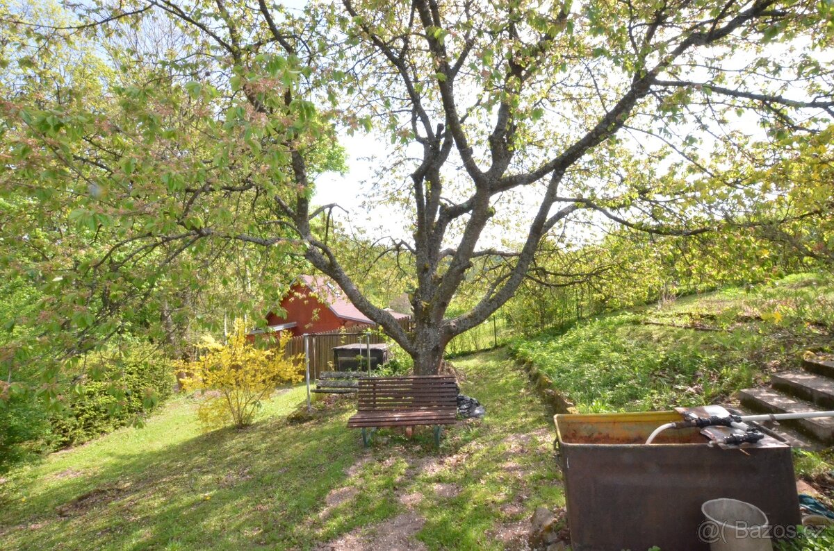 Prodej zahrady s chatkou v Žacléři - 3