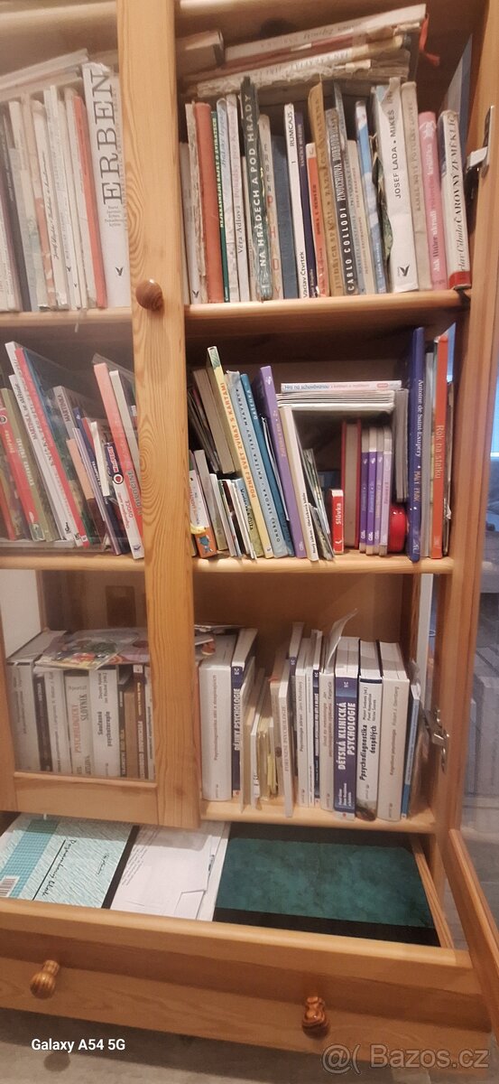 Knihovna borovice masiv - 3