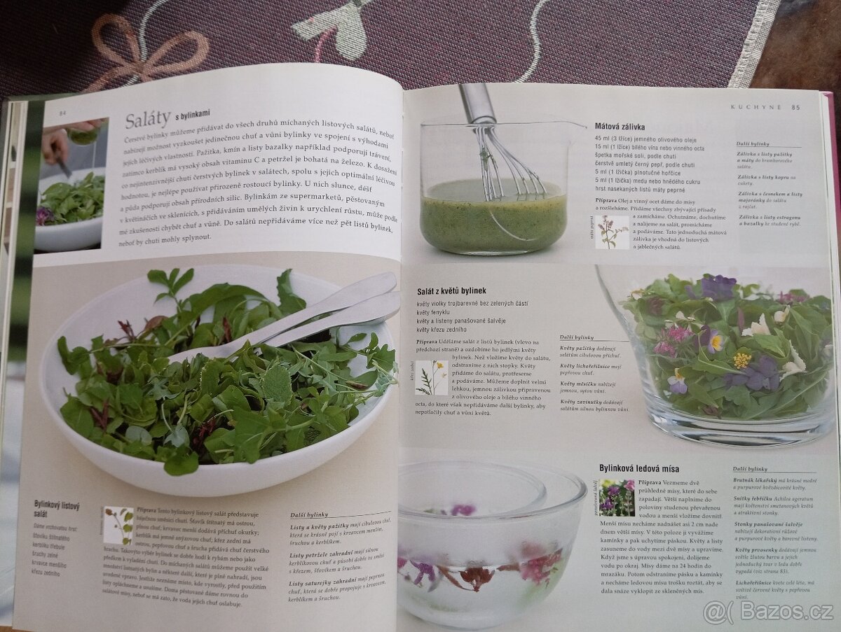 Velká kniha o bylinkách - 3