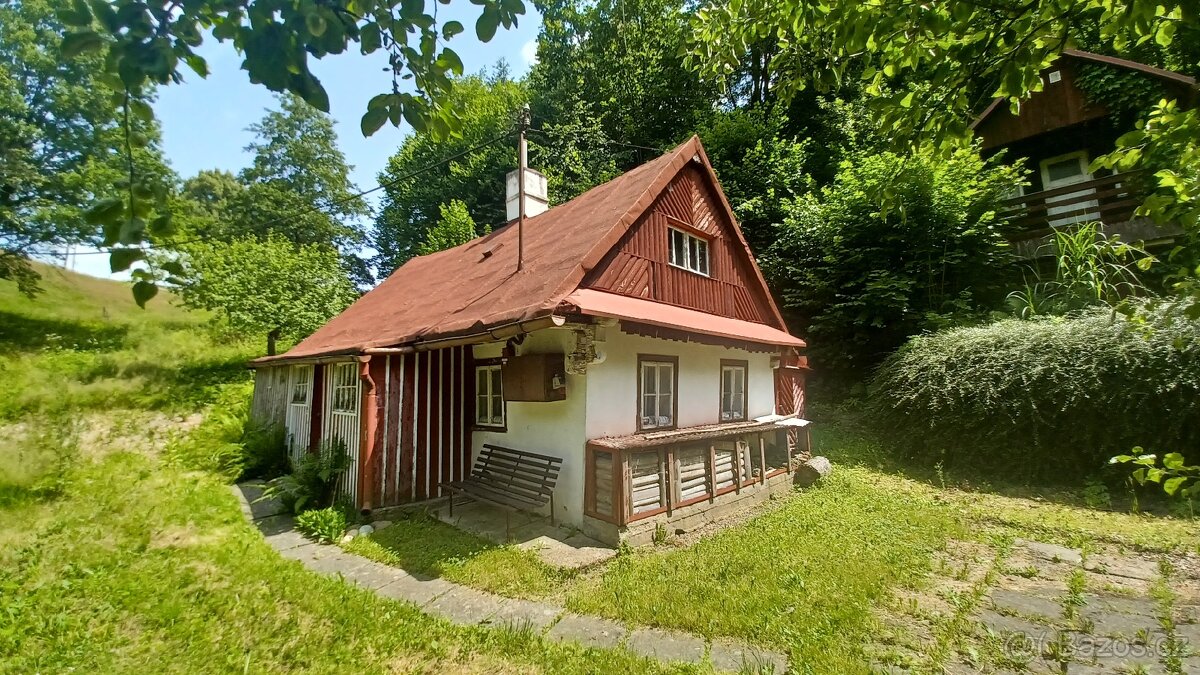 Stavební pozemek,chalupa,zahrada,chatka v Líšnice 2653m2 - 3