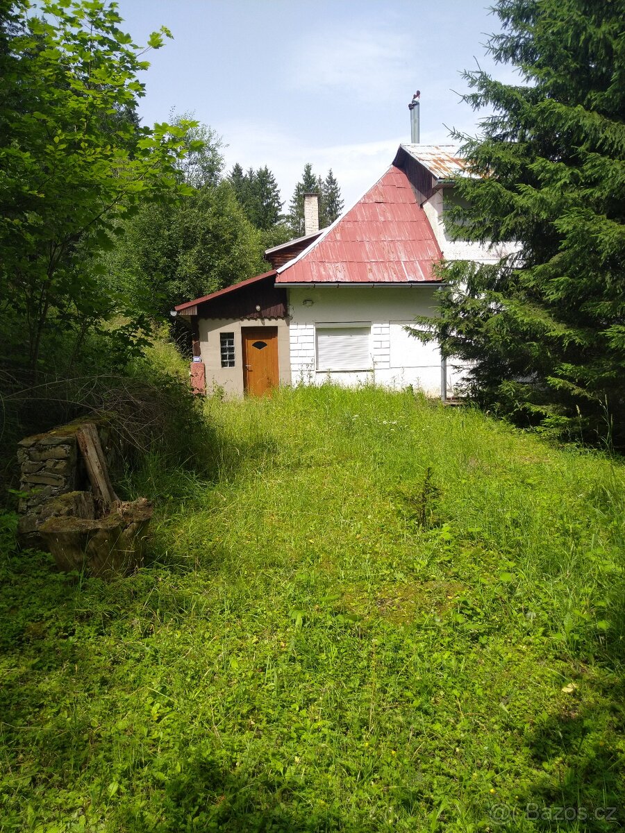 Chalúpka na samote u lesa  úžasné okoli - 3