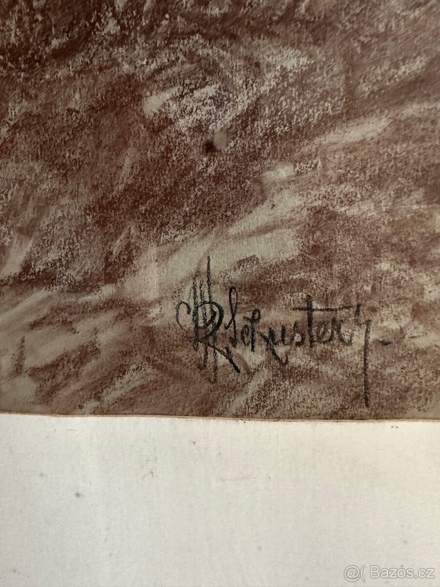 J.R.Schuster obraz Borovice - 3