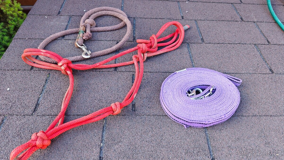 Prodám více věcí na lonžování - 3