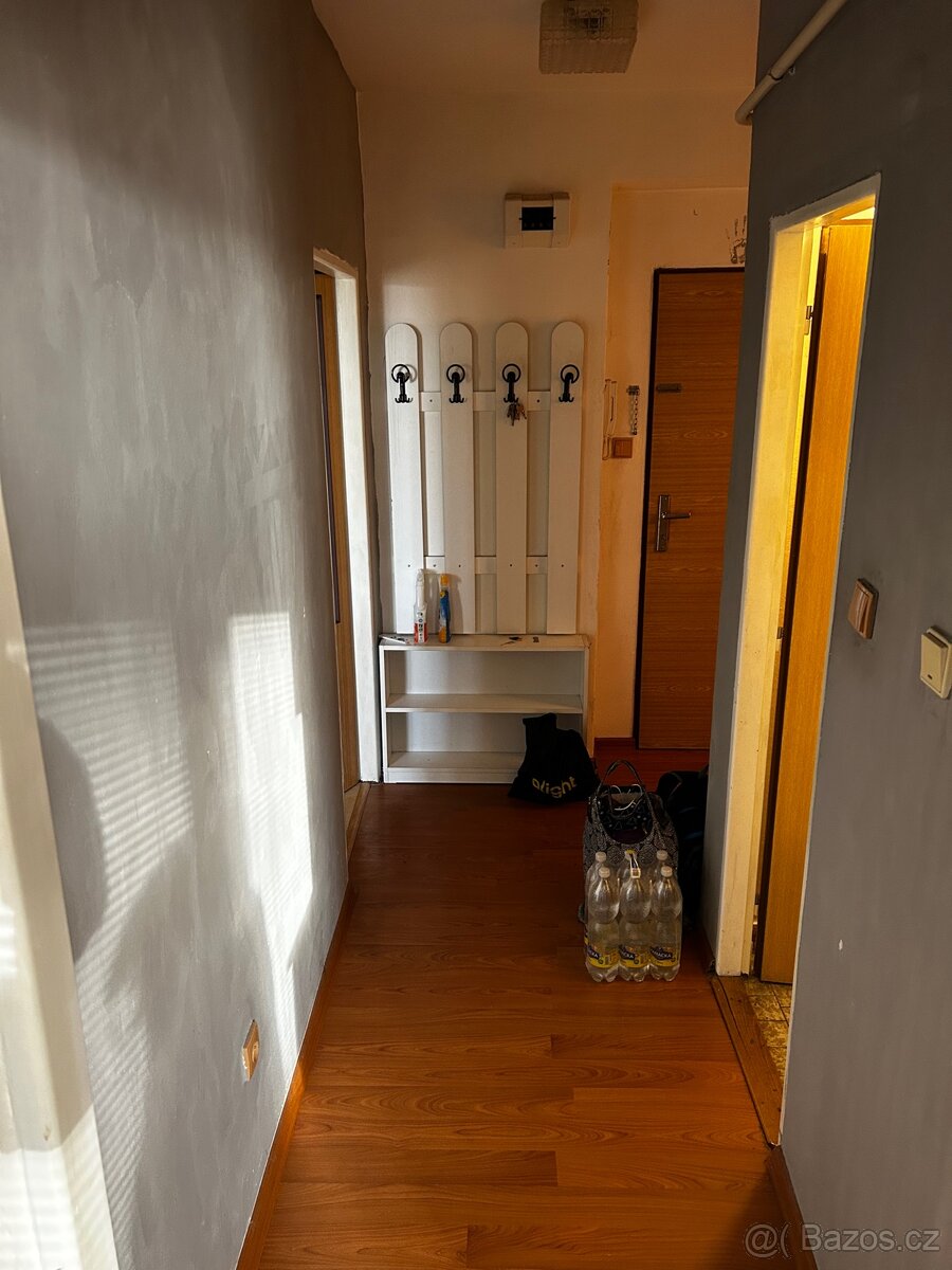 Pronájem - 3