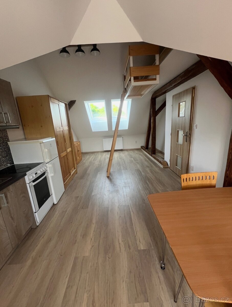 Garsoniéra k pronájmu v Odrách - 3