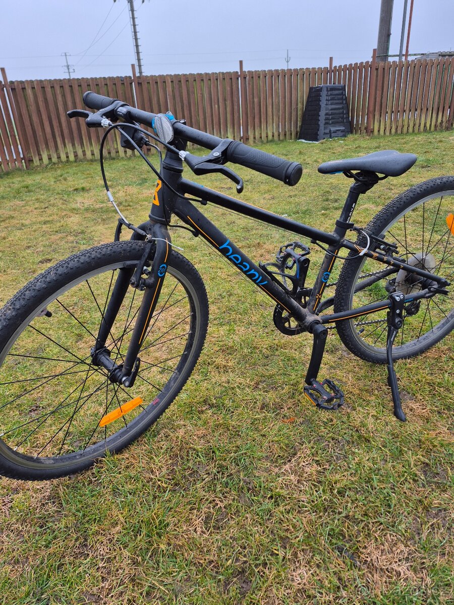 Prodám Beany 24 - 3