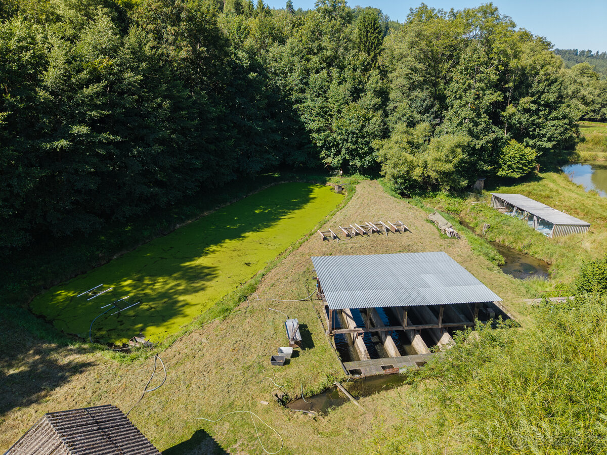 Pronájem rybích sádek, Nové Hrady - 3