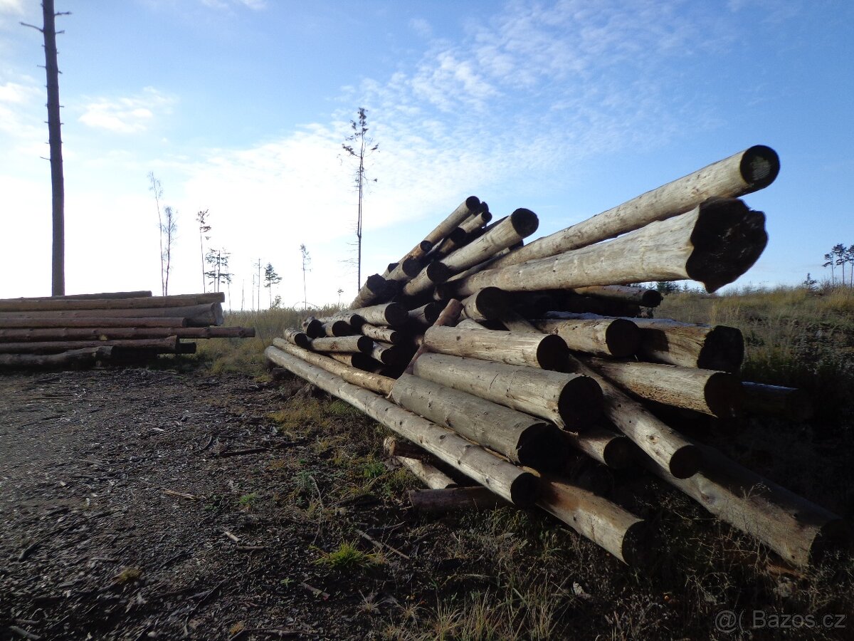 smrková kulatina suchá odkornená - 3