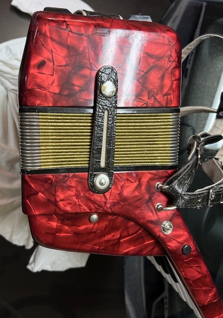 Akordeon Delicia Junior 1 - 3