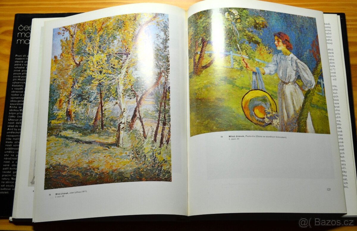 České moderní malířství - 3