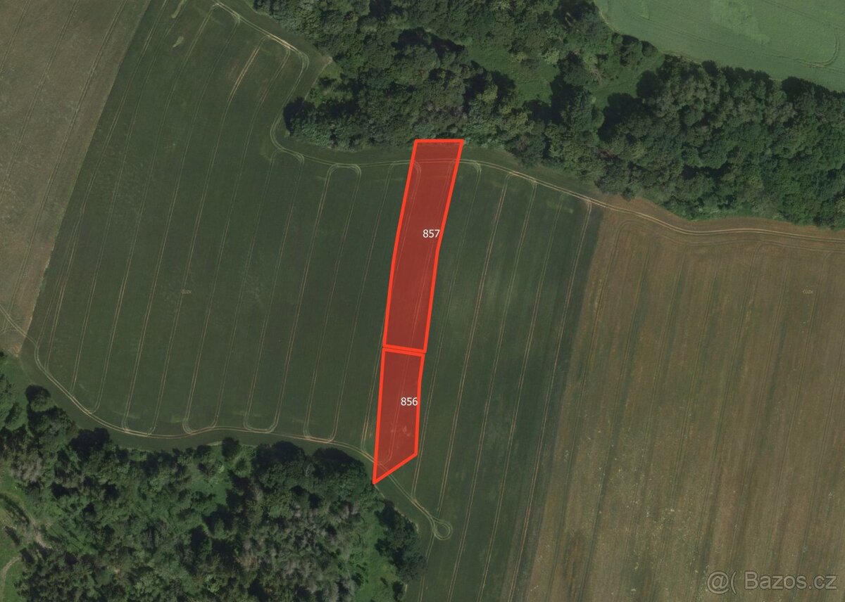 Zemědělská půda, prodej, Městečko Trnávka, Svitavy - 3