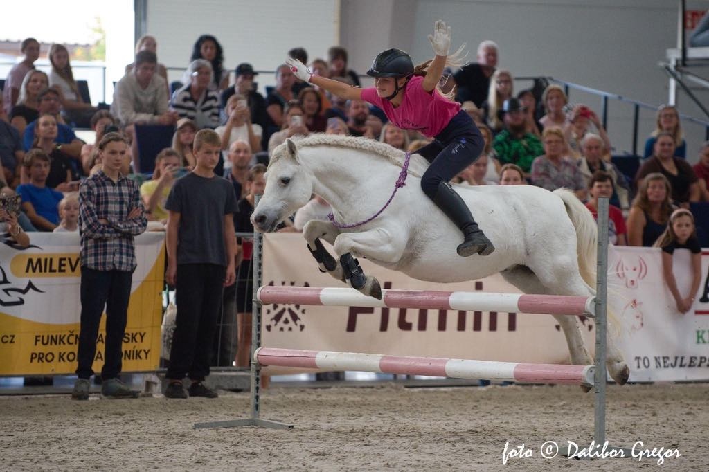 Sepík - stáj, kde se váš talent rozvine naplno - 3