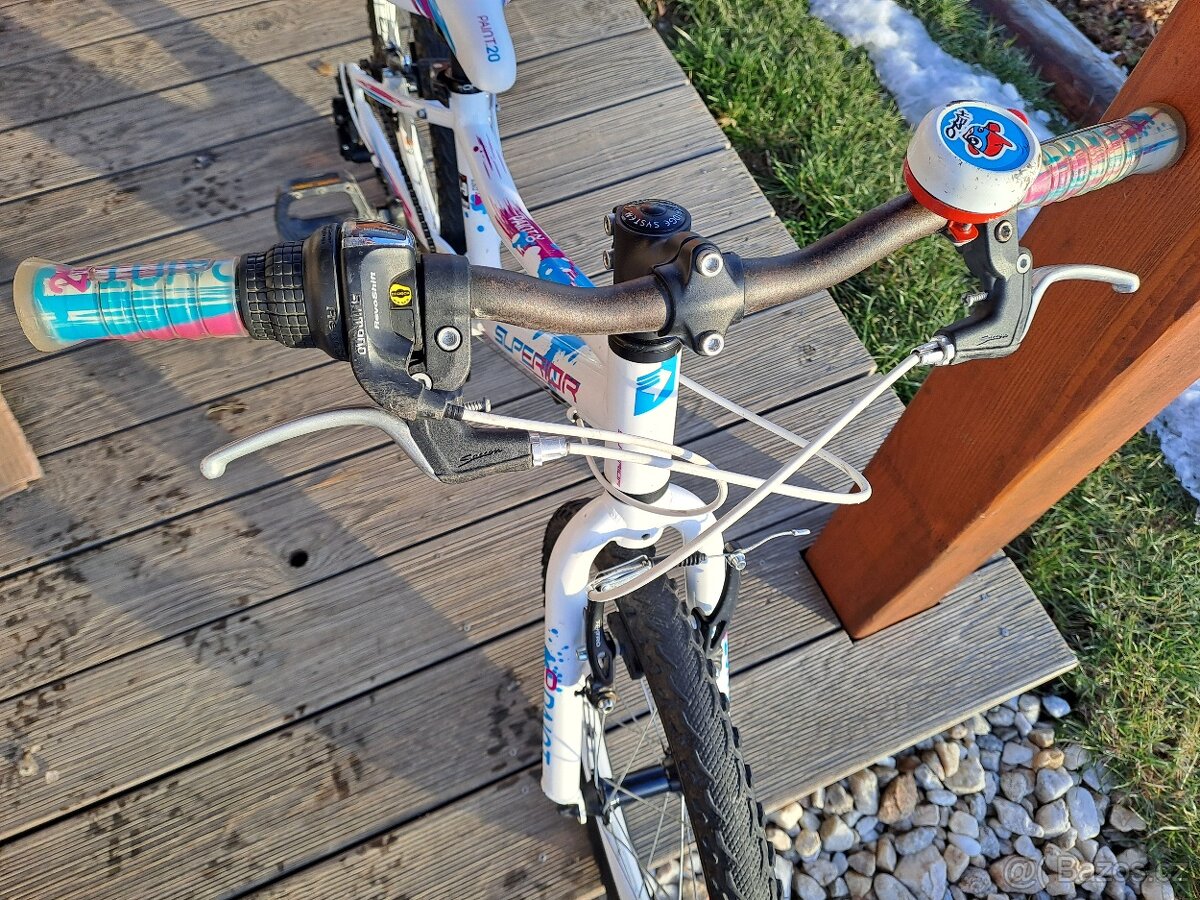 Superior Paint 20"- PĚKNÉ - 3