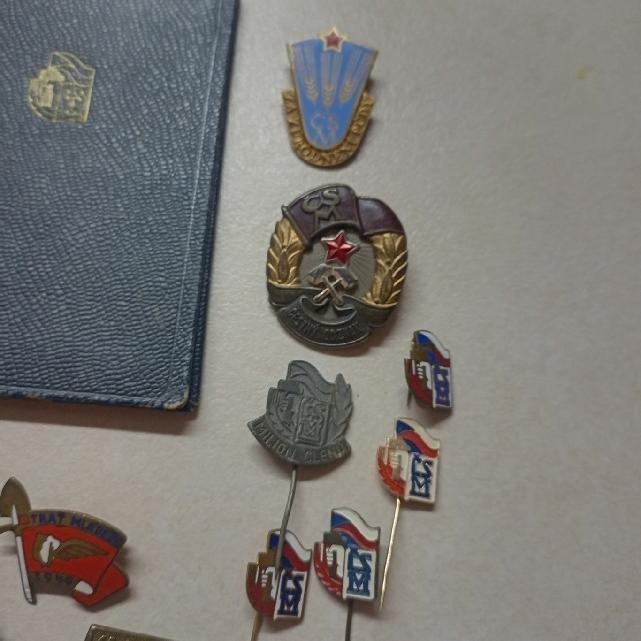 ČSM - ČS.SVAZ MLÁDEŽE - ODZNAKY ,PRŮKAZKY - 3