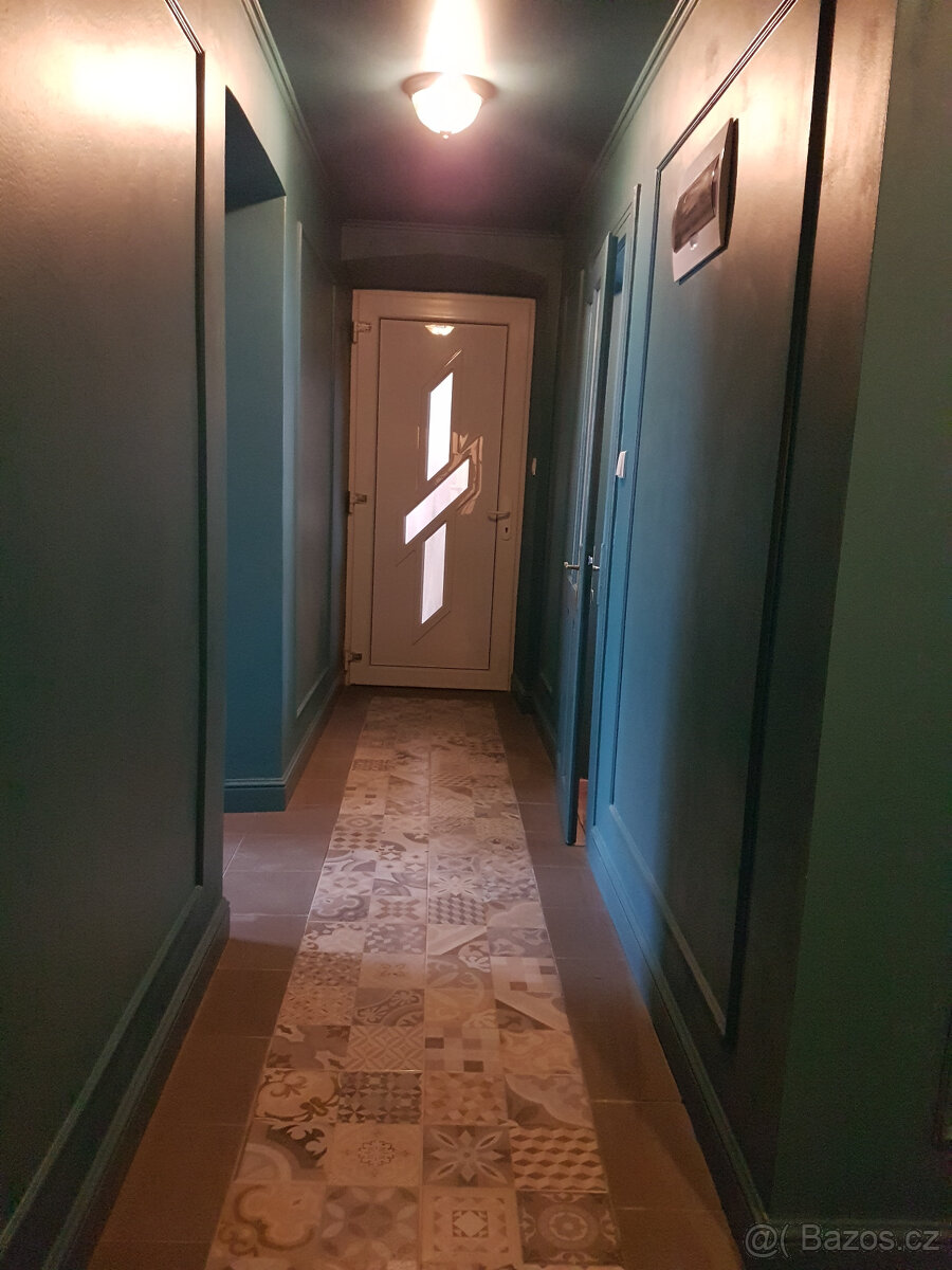 Pronájem bytu 1+1 50 m2 - 3